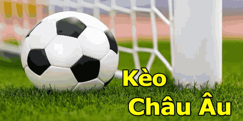 Kinh nghiệm đọc kèo châu âu cùng sảnh game Vua88
