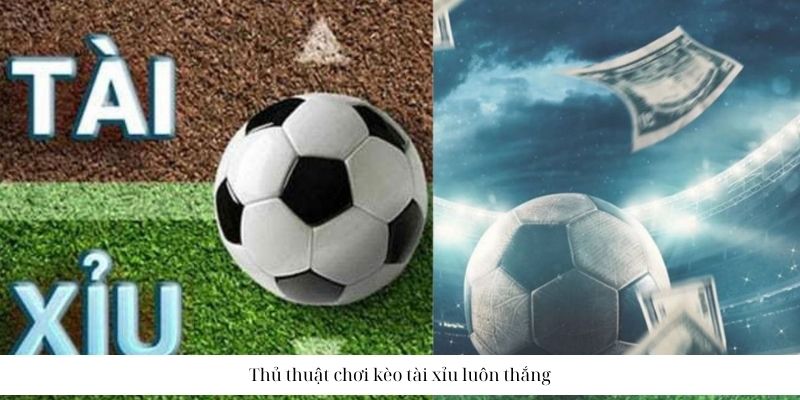 Chơi tài xỉu 1 trái như thế nào để thắng cùng Vua88
